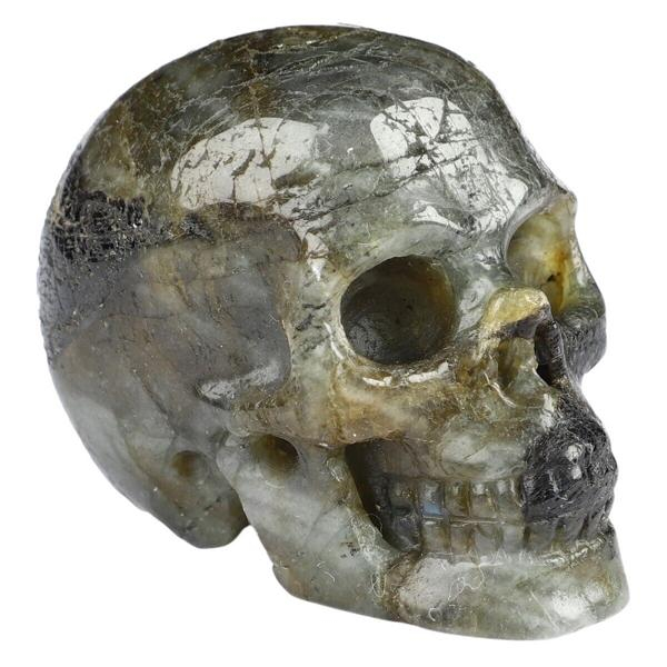 Skull Labradorit